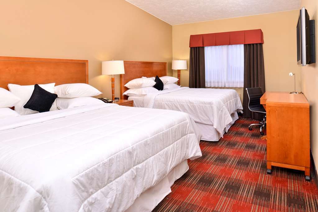 Quality Inn & Suites Airport Spokane Quarto foto